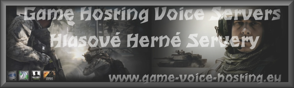 Game-Voice-Hosting